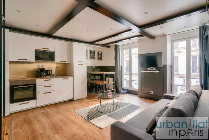 13 Luxury Flat eiffel design 2