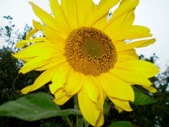 "Ferienhaus Strandläufer"