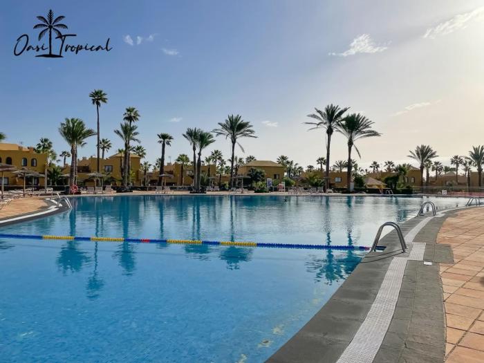 Rentalfue oasi tropical