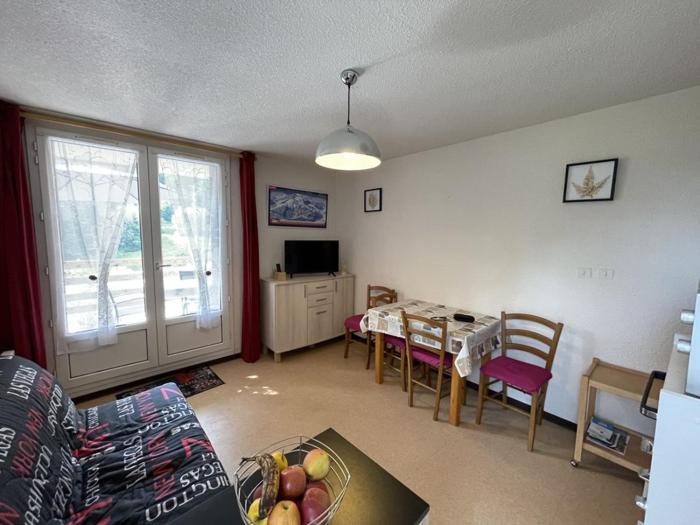 Coquet studio avec terrasse au Lioran, animaux admis - FR-1-787-119