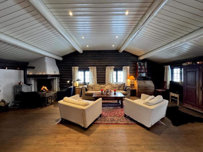Large, cozy, and spacious cabin in Geilo