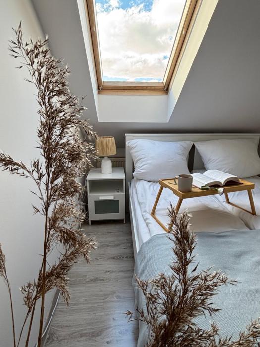 Apartament Aspen - przestronne poddasze przy plaży