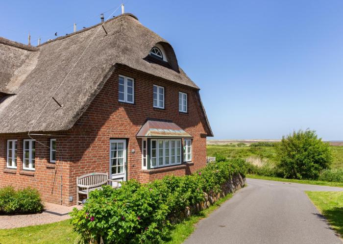 Hüs Waasluuper - Lachmöwe