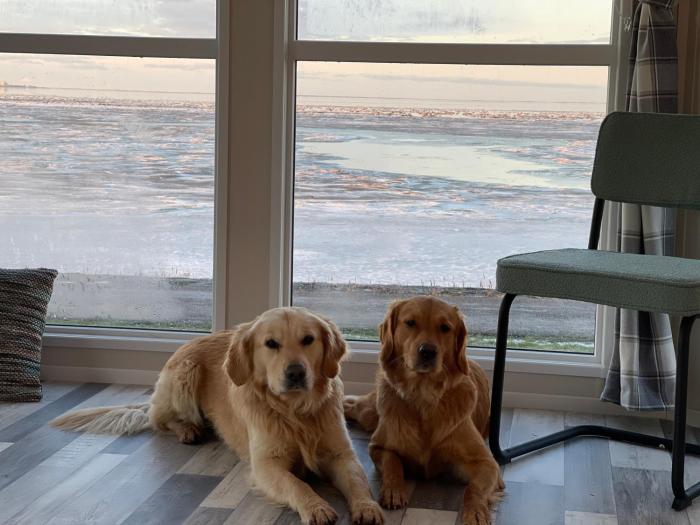 Traumlage Nr 56 erste Reise direkt am Meer Fertigstellung März 23 eingezäunt, ruhig, phantastische Natur Nr56