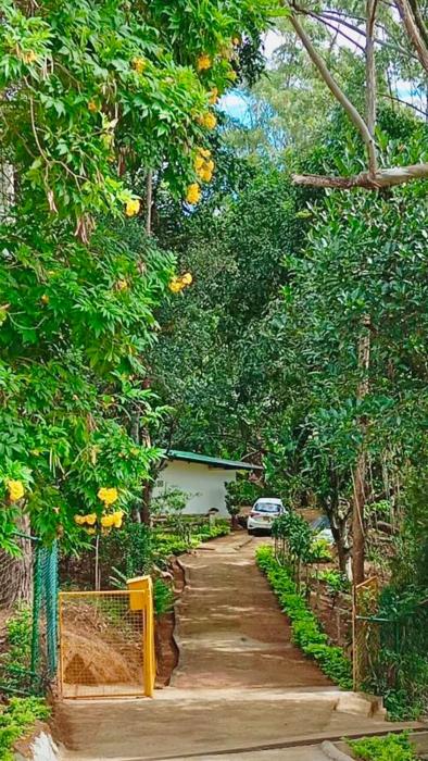 Modern Nature Retreat - Private Holiday Home in Bandarawela Hills