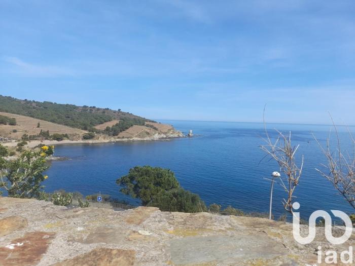 Appartement climatisé Banyuls sur Mer face à la mer