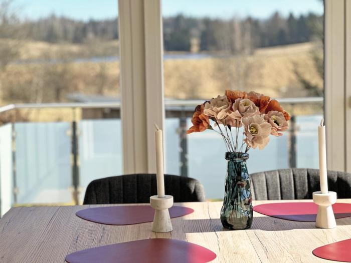 Harz Apartment Bärenwinkel mit Seeblick- Bubo am See