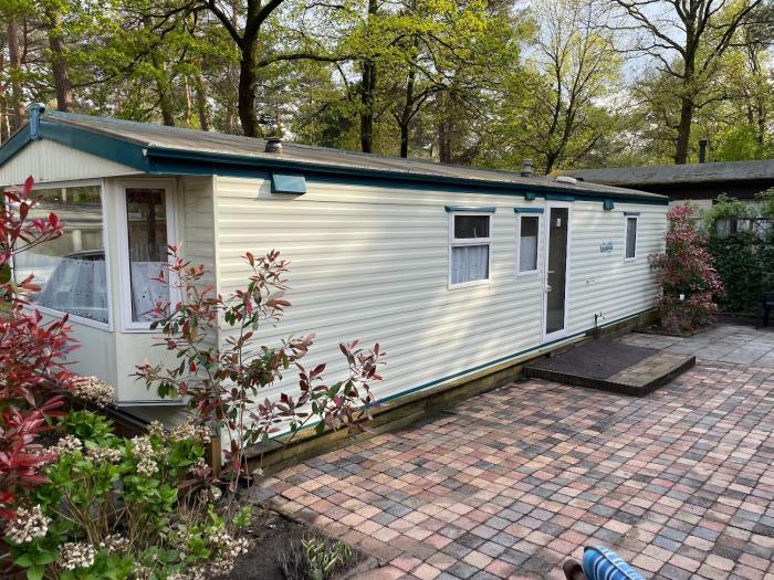 Vintage Forest Chalet