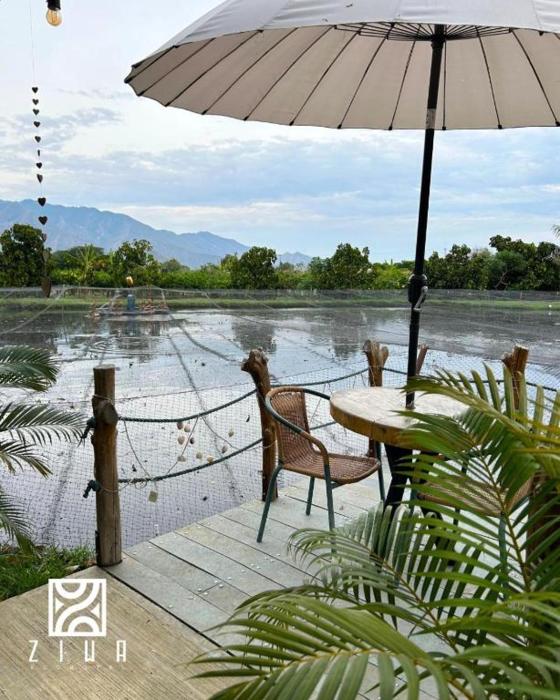 Ziwa Ecohotel Roldanillo Valle - Cabaña Mwezi