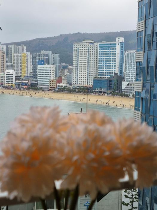 #Gwangan Bridge#광안리해수욕장#광안대교뷰#해변뷰#헬스사우나#코니하우스