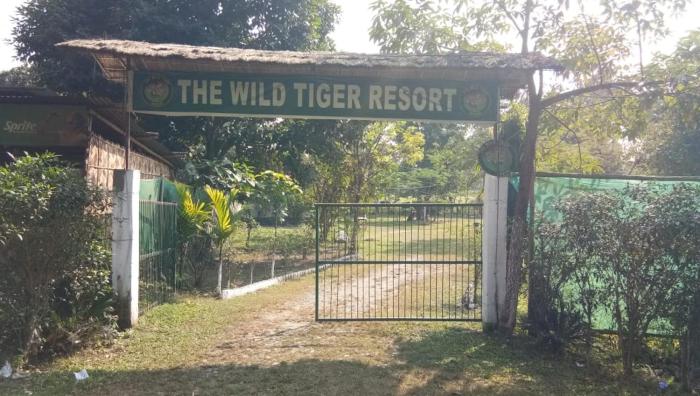 The Wild Tiger Resort