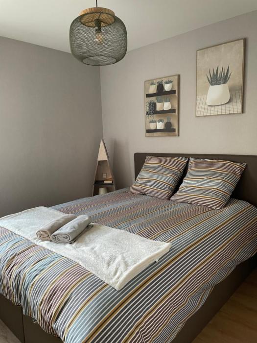 Appart spacieux 6 pers proche centre ville et gare Laval - Parking privé securisé