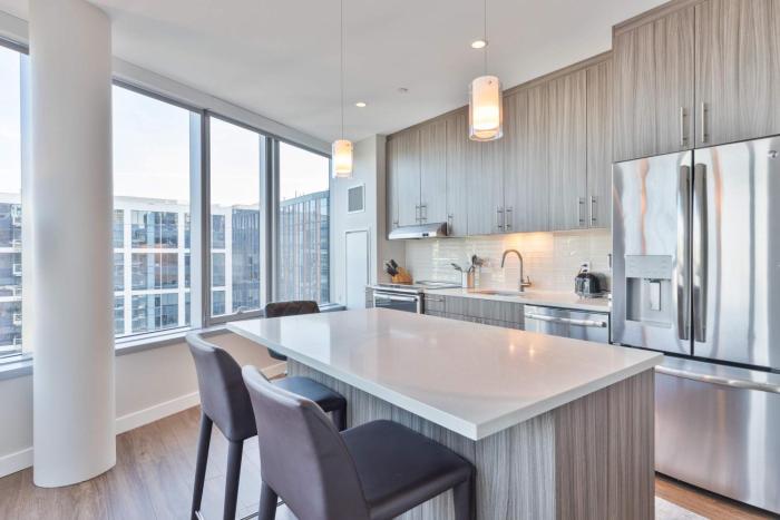 Entire Apt Downton Seaport