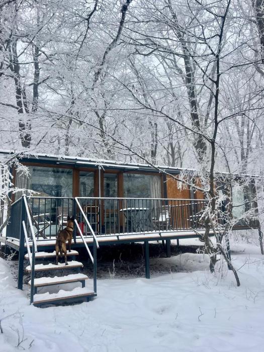 Ninas winery forest house in Kiketi