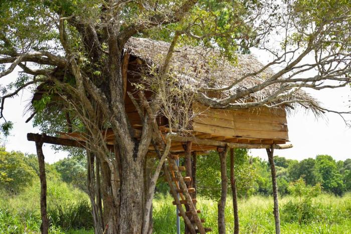 Habarana Tree House Area
