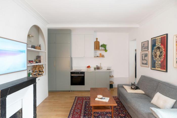 Minimalist Haussmannian Paris 11