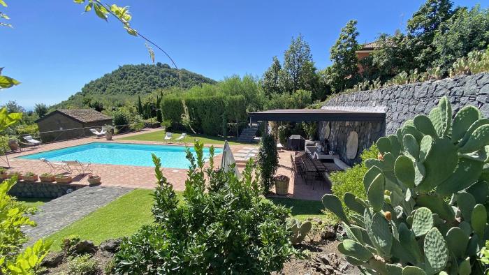 Il palmento dellEtna