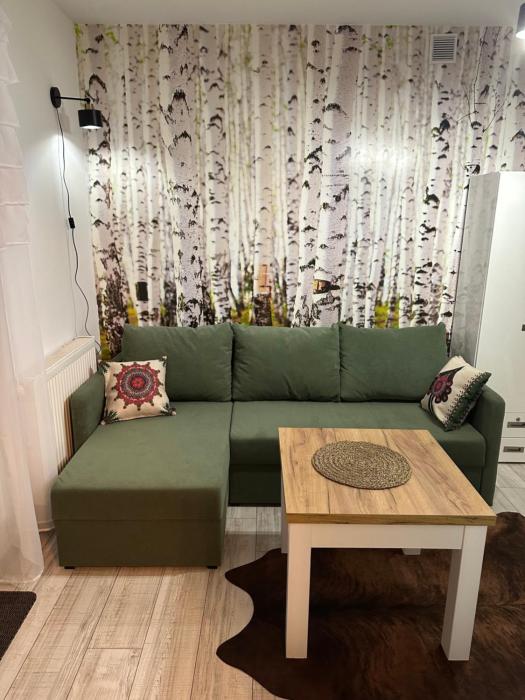 ZAKĄTEK pod Gubałówką -Szkolna 12D-CENTRUM