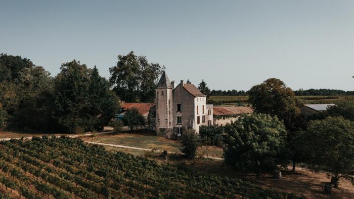 Manoir au coeur des vignes
