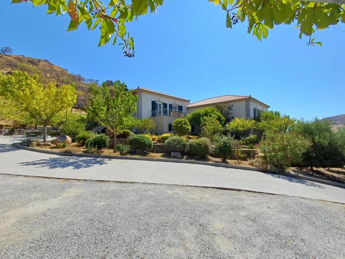 Ktima Pyroessa Apartments - Yellow Apartment