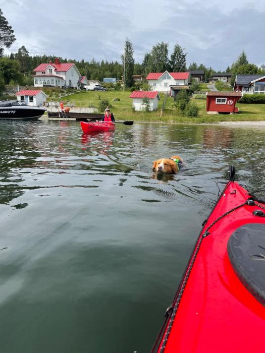 Coastal gem with beach, wooden sauna & canoes