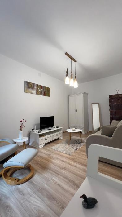Cozy apartment Tribunei