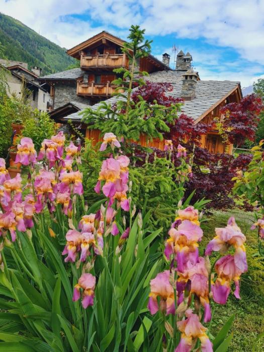 Affittacamere Annie - Parblanc