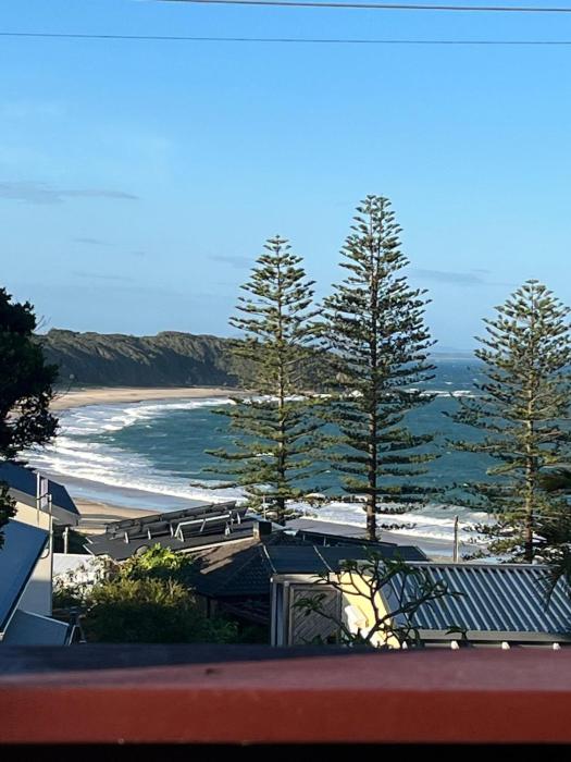 The Shack at Black Head