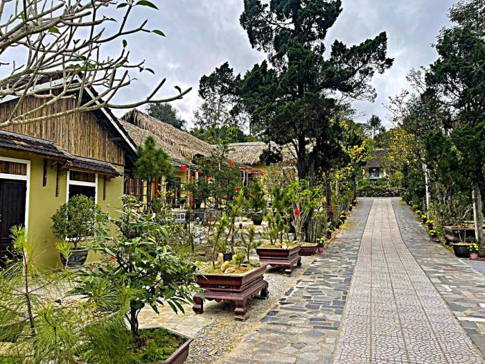 Pine Garden Homestay Hue