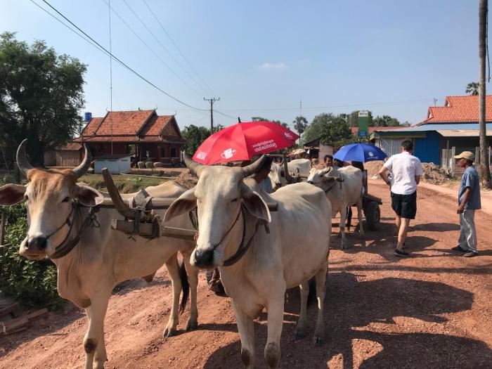 Authentic Khmer Homestay Experience Package by Siem Reap Homesteading