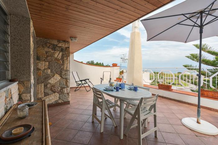 Una Araucaria sul mare