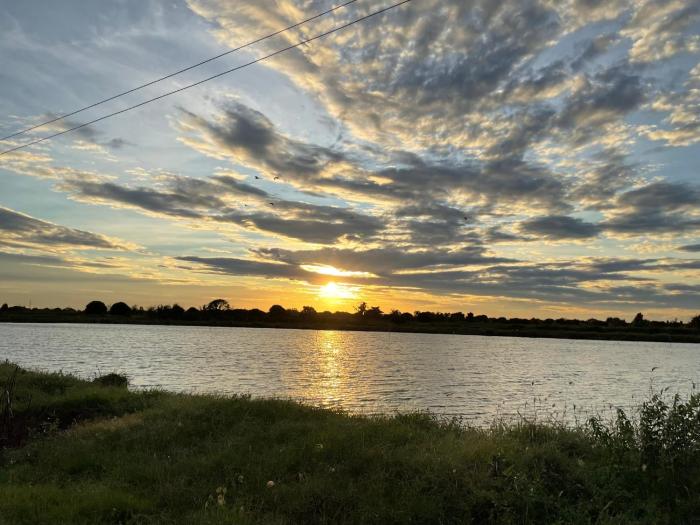 Countryside Rainbow Sweet Home Freshy Pets