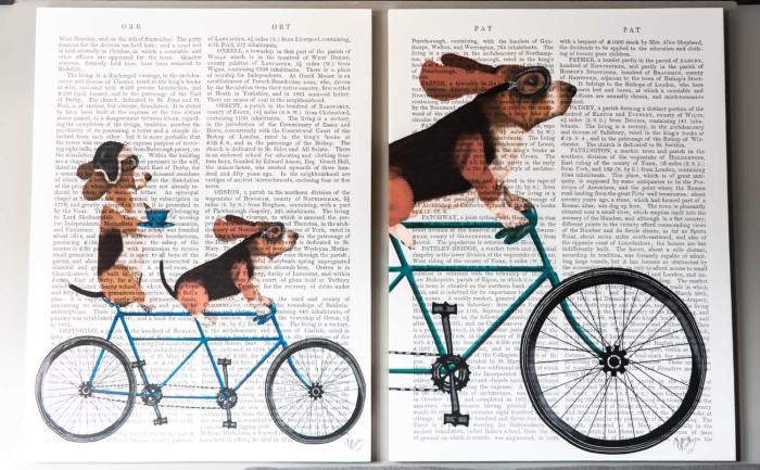 Acogedor y moderno departamento en la Condesa