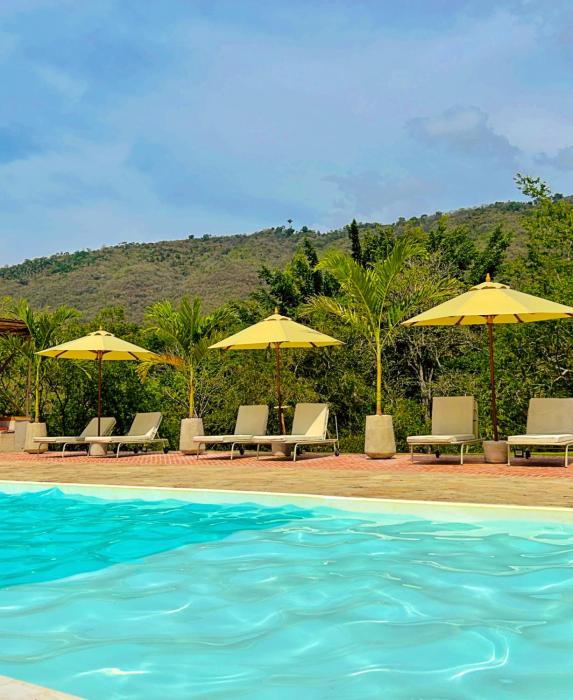 Trip Monkey del Río