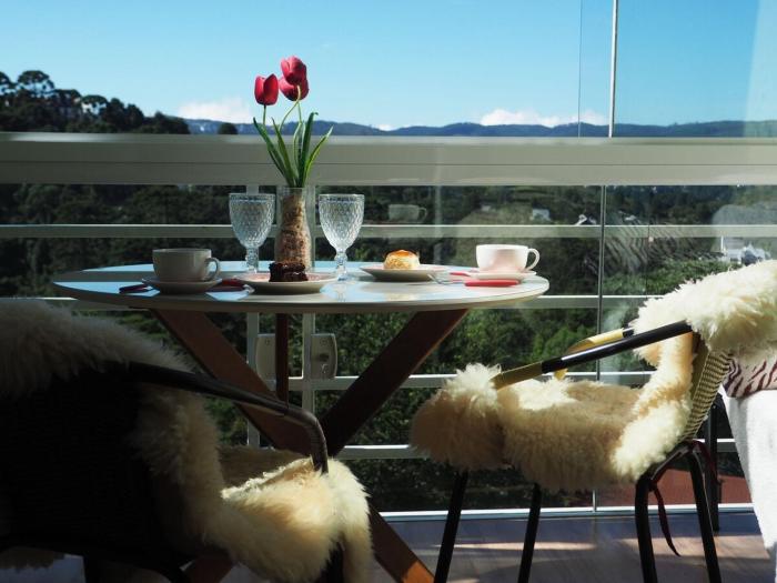 Duplex Panorâmico com vista incrível! Morro do Elefante!