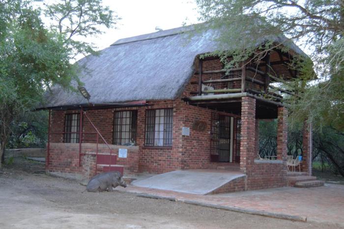 At Krugers Heartbeat