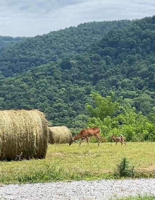 Panoramic Mountain Home Retreat