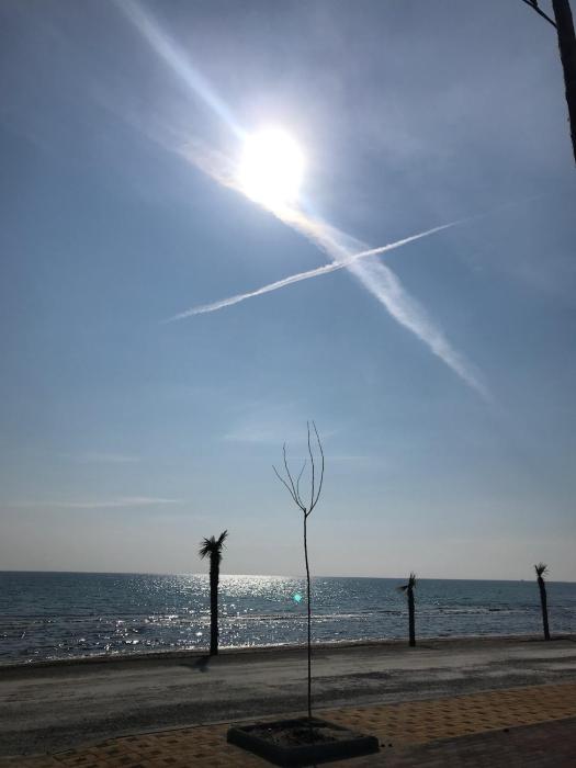 ioanikos sunshine