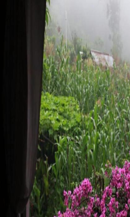 Aranya Baas By StayApart