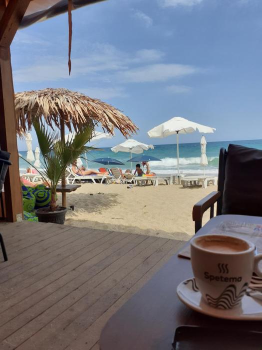 Sunshine Byala 2