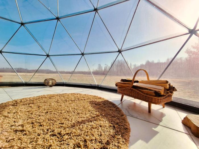 Miško Pašvaistėje - poilsis gamtoje