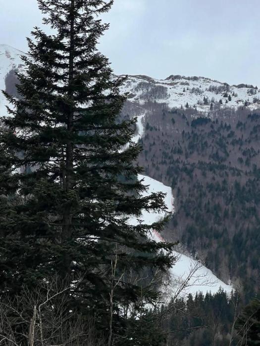 Inserrata Abetone in Tuscany