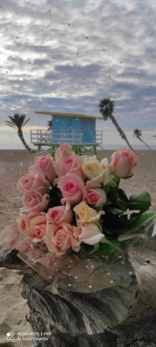 Casa de la Playa,Mer 100m, parking,animaux,clim,wifi