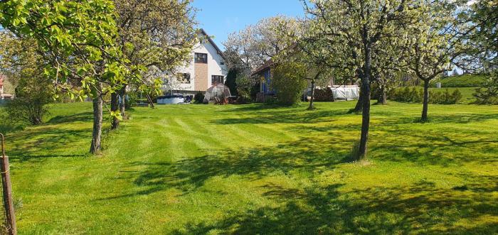 Apartmán Vysoké nad Jizerou