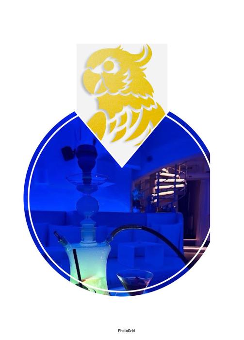 NiMFa THE BEST - 10 EXLUSIVE