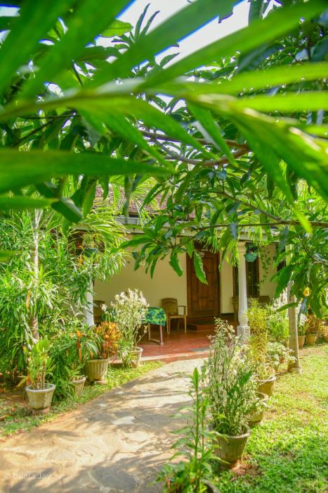 Leopard Home Stay