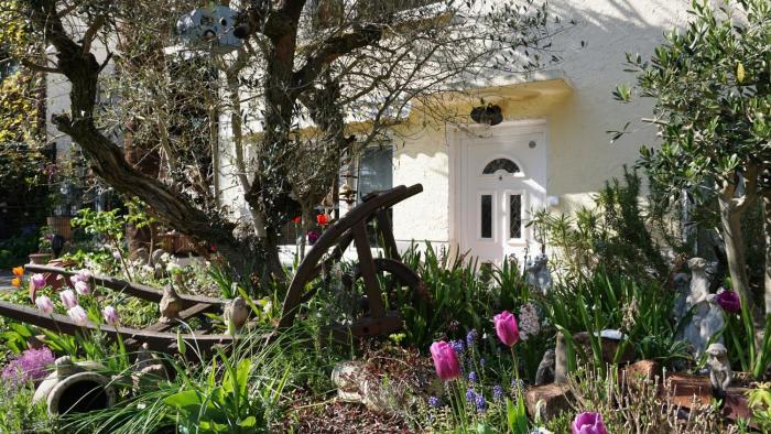 Ferienwohnung Palmengarten Bad Honnef