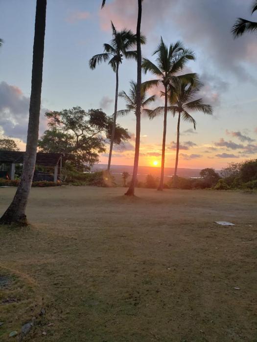 FAZENDA BOSQUE DAs PALMEIRAS