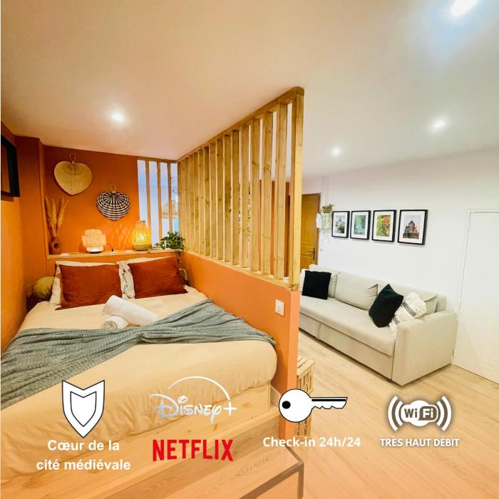 La Demeure des Troubadours - Hyper centre