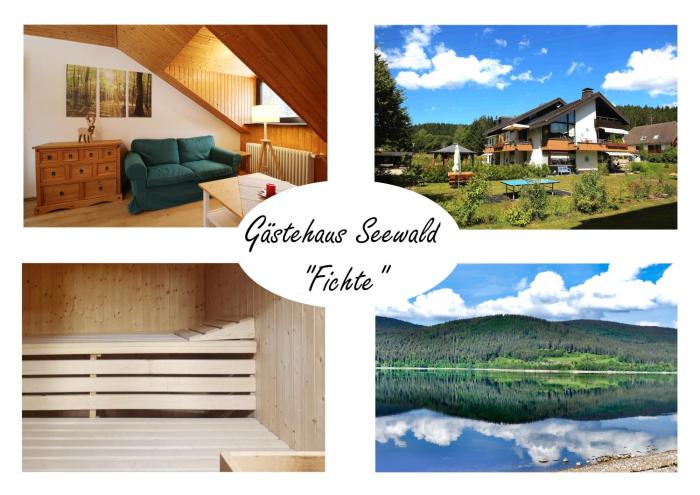 Gästehaus Seewald- Ferienwohnung 6 "Fichte", Schluchsee, Blasiwald